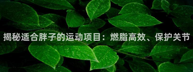 澳门必发集团|揭秘适合胖子的运动项目：燃脂高效、保护关节