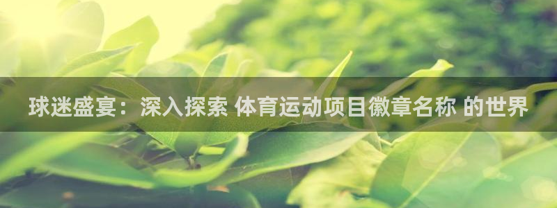 必发集团官网|球迷盛宴：深入探索 体育运动项目徽章名称 的世